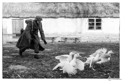 Rekonstrukcja historyczna - fotograf Mariusz Pracki